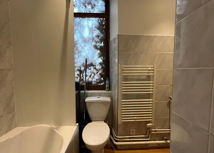 Au Coeur De Cauterets, T2 + Alcove. 4p.